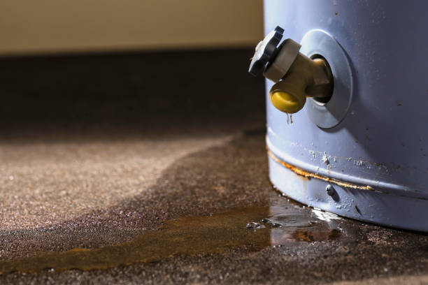 Best Water damage contractors near me  in South Rockwood, MI