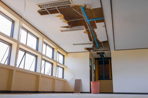 Best Water damage restoration mold remediation  in South Rockwood, MI