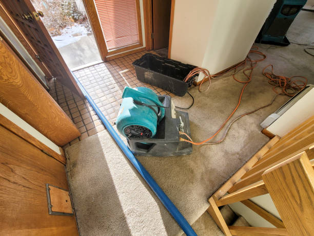 Best Water damage cleanup near me  in South Rockwood, MI