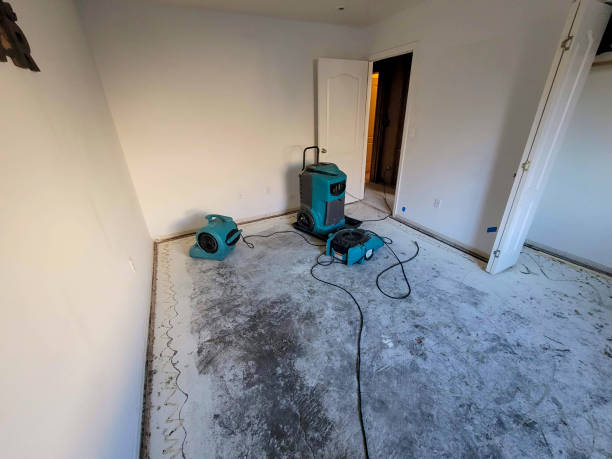 Best Flood restoration services  in South Rockwood, MI