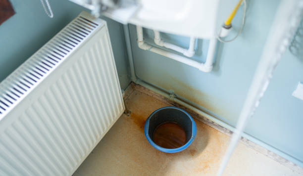 Best Sewage cleanup and water damage restoration  in South Rockwood, MI